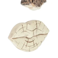 Trädgårdsprydnad, 2-delad trädansikte, 10x13x2,5 cm, Brun