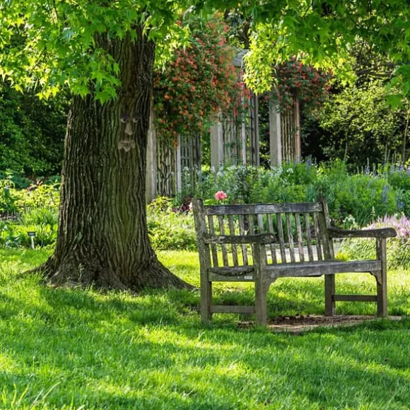 Trädgårdsprydnad, Trädansikte Dekoration, 8.5x12.5x2 cm, Beige