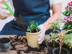 Trädgårdsspade / Planteringsspade - 32 cm