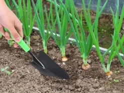 Trädgårdsspade / Planteringsspade - 32 cm