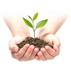 Trädgårdstextil 1,6 m x 50 m 90 g/m2 + 100 Plonos-nålar - svart och grön