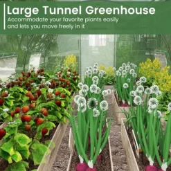 Trädgårdsväxthus, 600x300x200 cm/400x300x200 cm, Grön