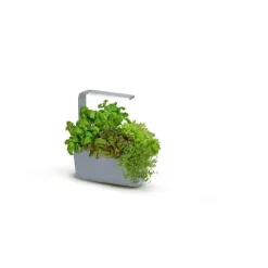 TREGREN Kitchen Garden T6 Grå