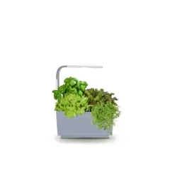 TREGREN Kitchen Garden T6 Grå