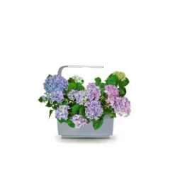 TREGREN Kitchen Garden T6 Grå