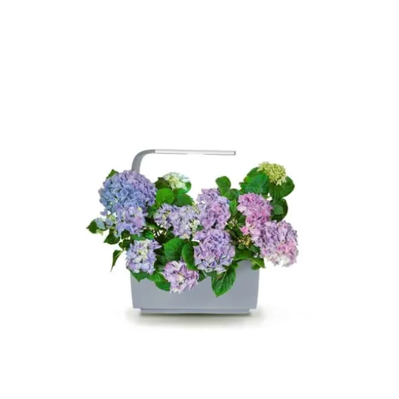 TREGREN Kitchen Garden T6 Grå