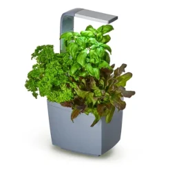 Tregren Kitchen Garden T3 Grå