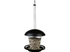 TRIXIE 54580, Hanging, Svart, Transparent, Plast, 0,9 l, Frön, 170 mm