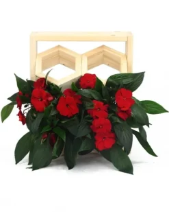 Trälådor vertikala RD-8/2x2 - Natur