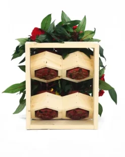 Trälådor vertikala RD-8/2x2 - Natur