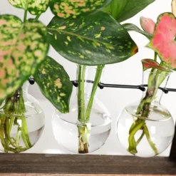 Träram väggmonterad hydroponisk vas för gröna växter i vardagsrumsinredning