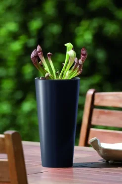 Tubus Slim DTUS300 Hög Blomkruka | Vit