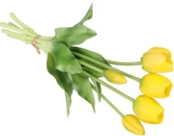 TULPANBUKETT MED TULPANER GUMMIBELAGDA GUMMISILIKONLIKT LIV