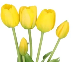 TULPANBUKETT MED TULPANER GUMMIBELAGDA GUMMISILIKONLIKT LIV