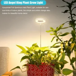 3.5-tums Vit Varm Ljus 5W Justerbar Växtlampa med USB & Timer