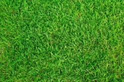 Universal Gräsfrön Universalmix 0,9 kg 40 m² Biovita