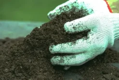 Universell trädgårdsjord PSB 80L