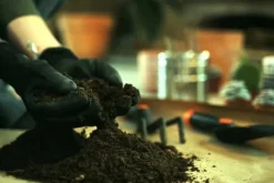 Universell trädgårdsjord PSB 80L