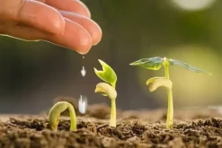 Universellt jordsubstrat för sådd av blommor 5l