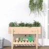 Upphöjd odlingslåda på ben i massiv furu | Storlek: 101x30x69 cm | Färg: Naturlig träfinish