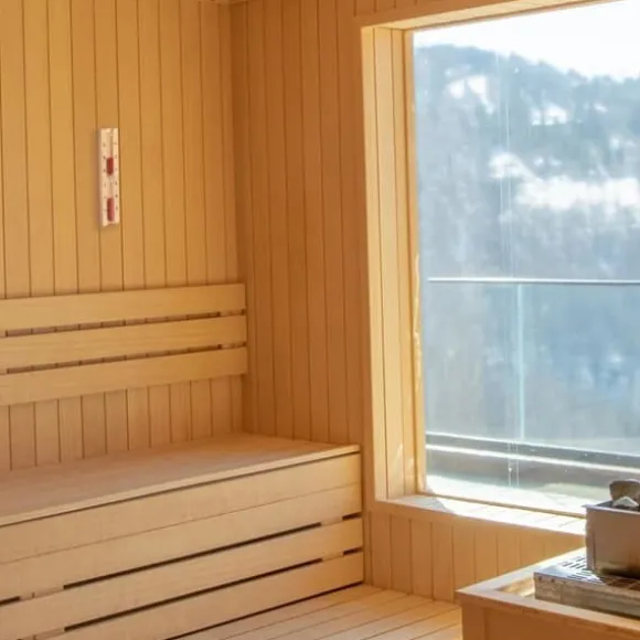 Utrustning - hamam - bastu - spa underhållsprodukt Tfa dostmann - 40.1058.11