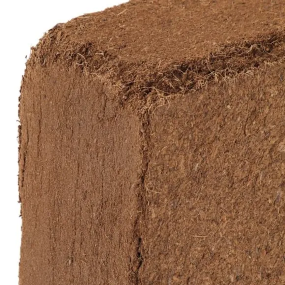 vidaXL Block i kokosfiber 2 st 5 kg vardera 10 kg total