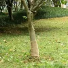 vidaXL Juterulle 0,25x15 m 100% jute 200 gsm - Dekor