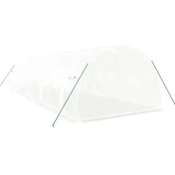 vidaXL Växthus med stålram vit 30 m² 10x3x2 m - Växthus