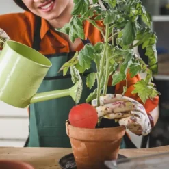 Växtbevattningskoner, 17,5x7 cm, Röd