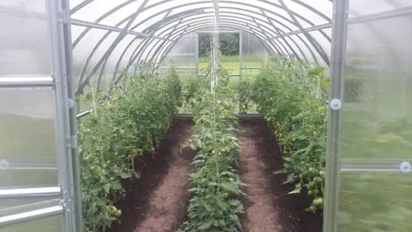 Växthus Baumera BALTIC 3x6m med 6 mm polykarbonatbeläggning