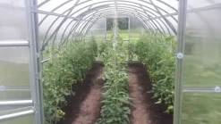 Växthus Baumera BALTIC 3x4m med 6 mm polykarbonatbeläggning