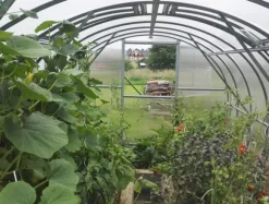 Växthus Baumera Klasika 3x4m med 4 mm polykarbonatbeläggning