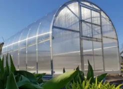 Växthus Baumera Klasika 3x6m med 6 mm polykarbonatbeläggning