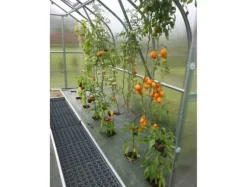 Växthus Baumera STANDART 15 - 2,5x6m med 4 mm polykarbonatbeläggning