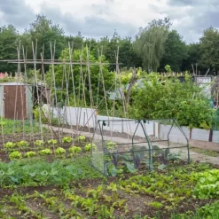 Växthus för kallbänk, 90x180x90 cm, Transparent