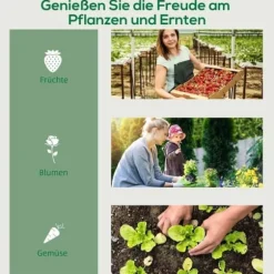 Växthus mini 69×50×165 cm – 4 hyllor, transparent