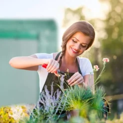 Växthus, 170x80x200 cm, Grön