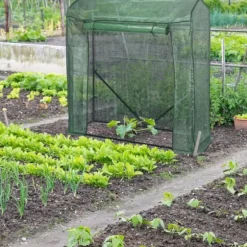 Växthus, 154x152x50 cm, Grön