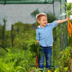 Växthus, 154x152x50 cm, Grön