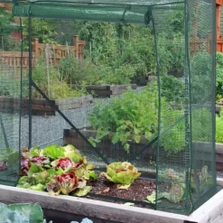 Växthus, 154x152x50 cm, Grön