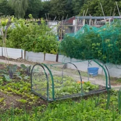 Växthustält, 50x130x60 cm, Transparent