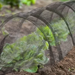 Växthustunnel, 50x60x500 cm, Svart