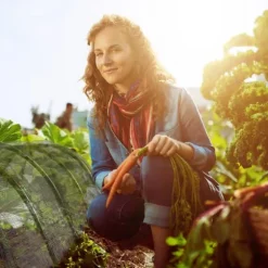 Växthustunnel, 50x60x500 cm, Svart