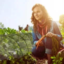 Växthustunnel, 51x55x700 cm, Svart