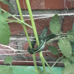 Växtklämmor / Klämmor - 108 st