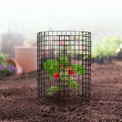 Växtskydd, 6-pack, 32x35,5 cm, Metall, Justerbar, Utomhus