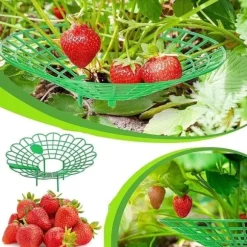 Växtstöd för jordgubbar, grönsaker och andra växter - Jordgubbshållare 10-pack