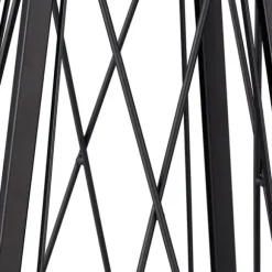 Växtstöd Obelisk, 132x36x34 cm, Svart