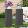 Växtställ 2 pcs Svart 24 x 24 x 75 cm Stål