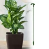 Växtställ - Support för Växter/Blommor i jord - 37 cm
